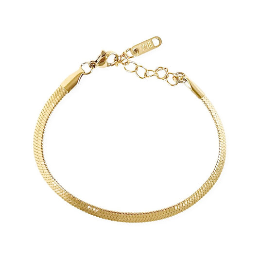 Steel Snake Chain Bracelet